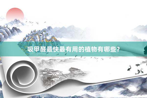 吸甲醛最快最有用的植物有哪些?