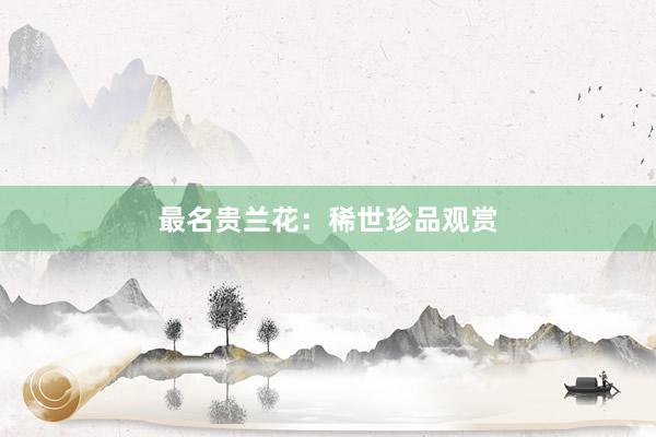 最名贵兰花：稀世珍品观赏