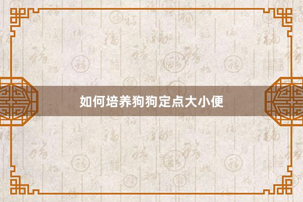 如何培养狗狗定点大小便